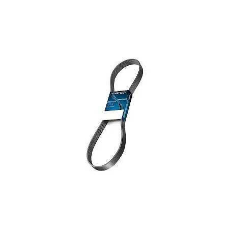 Timing belt