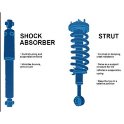 Shocks/Struts