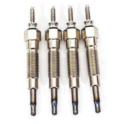 Glow Plugs